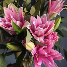 Roselily Wrap